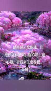 时尚POLO衫